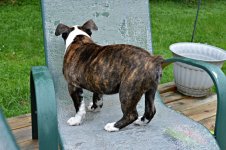 DSC_0416.JPG DSC_0416.JPG