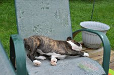 DSC_0420.JPG DSC_0420.JPG