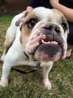 farley.jpg farley.jpg