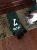 ImageUploadedByTapatalk1441401080.329480.jpg ImageUploadedByTapatalk1441401080.329480.jpg