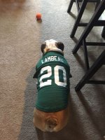 ImageUploadedByTapatalk1441403652.744968.jpg ImageUploadedByTapatalk1441403652.744968.jpg