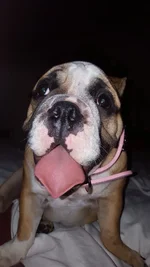 20150828_203740.webp