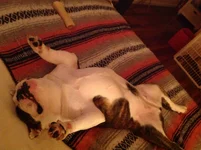 image.webp