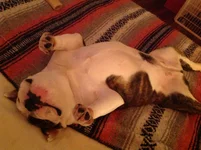 image.webp