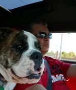 20150508_141407-1.webp