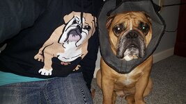 20151228_144941.jpg