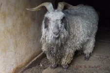 DSCF5499.webp