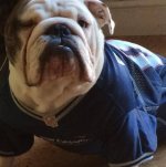 10940433_10205237422602770_6517981458414610928_n.jpg 10940433_10205237422602770_6517981458414610928_n.jpg