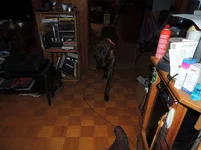010.webp
