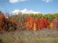 thanksgivin weekend 016.webp