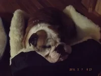 DSCF5383.webp