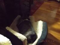 DSCF5384.webp