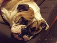 DSCF5387.webp