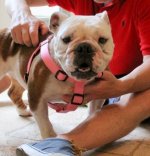 thumb.php.jpeg thumb.php.jpeg