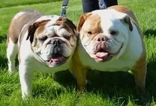 cache_4211899276.webp