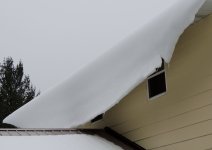 roofsnow 004.jpg