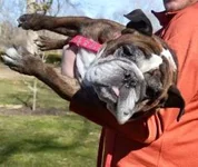 cache_4211406953.webp cache_4211406953.webp