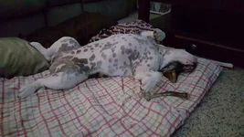 20150621_201204.webp