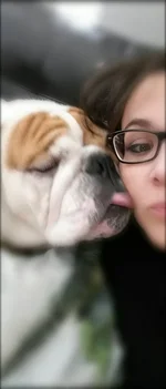 uploadfromtaptalk1459832753688.webp