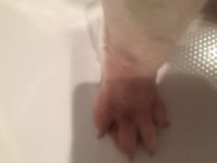 image.jpeg image.jpeg