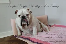 Birthday Tracey1.webp