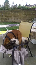 IMAG0298.webp IMAG0298.webp