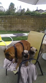 IMAG0299.webp IMAG0299.webp