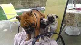 IMAG0300.webp IMAG0300.webp