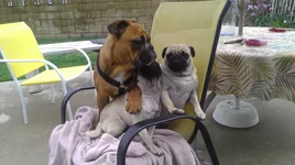 IMAG0301.webp IMAG0301.webp