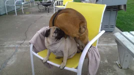 IMAG0306.webp IMAG0306.webp