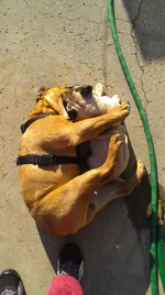 IMAG0051.webp IMAG0051.webp