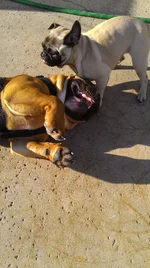 IMAG0057.webp IMAG0057.webp