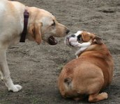 full (3).jpg full (3).jpg