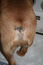 full (4).jpg full (4).jpg