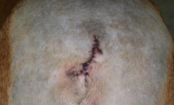 full (8).jpg full (8).jpg