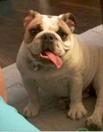penny3.webp