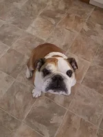 walter.webp