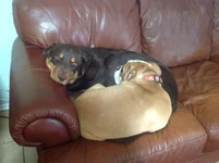 image.webp