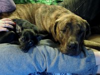 Odin and Nat 007.jpg