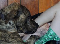 Odin and Nat 012.jpg Odin and Nat 012.jpg