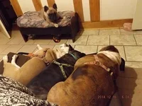 DSCF5278.webp