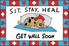heal.webp