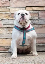 Gabby-10-727x1024.webp