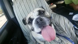 Chloe-Avery-11.webp