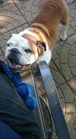 muscles.jpg muscles.jpg