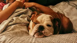 sleeptime.webp