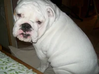 100_0489.webp