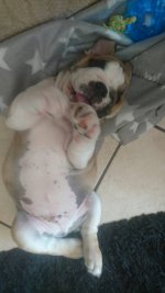 uploadfromtaptalk1460353651190.jpg uploadfromtaptalk1460353651190.jpg