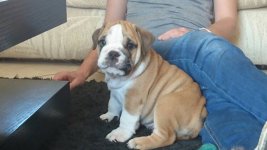 uploadfromtaptalk1460353680953.jpg uploadfromtaptalk1460353680953.jpg