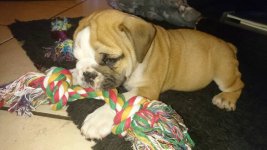 uploadfromtaptalk1460353705341.jpg uploadfromtaptalk1460353705341.jpg